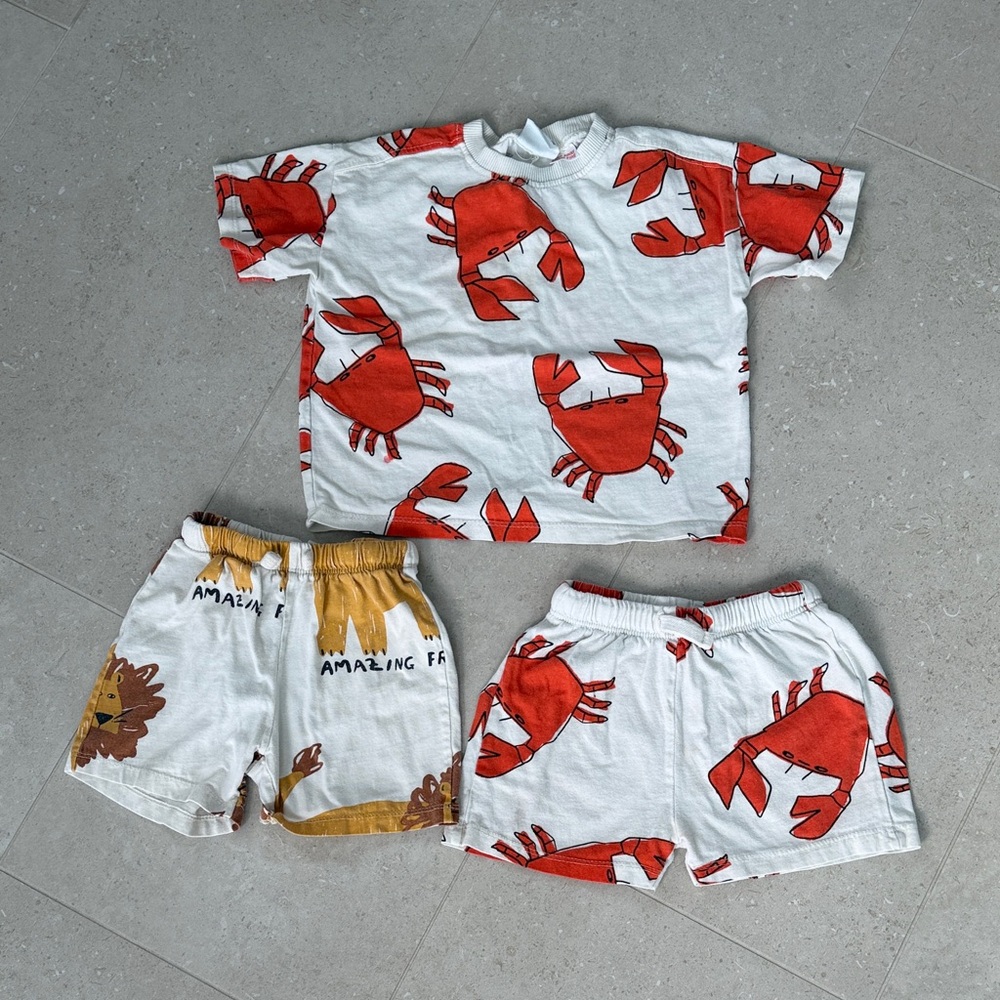 Zara Kids Crab Print Set and Lion Shorts